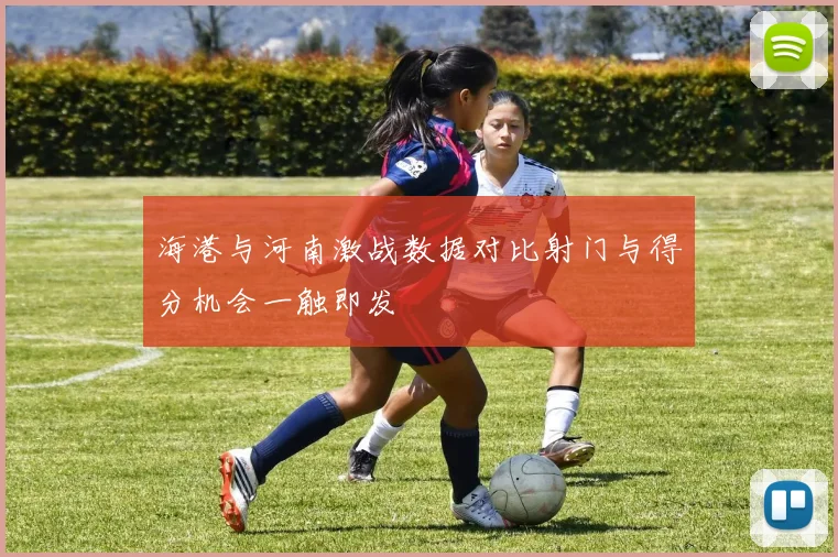 海港与河南激战数据对比射门与得分机会一触即发