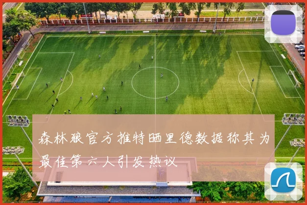 森林狼官方推特晒里德数据称其为最佳第六人引发热议