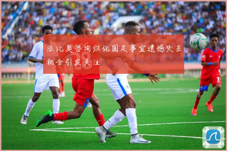 法比奥咨询归化国足事宜遗憾失去机会引发关注
