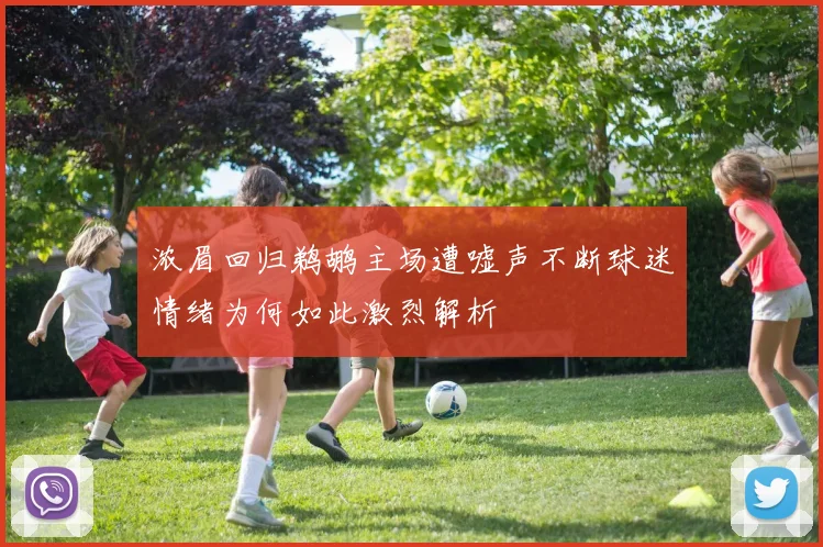 浓眉回归鹈鹕主场遭嘘声不断球迷情绪为何如此激烈解析