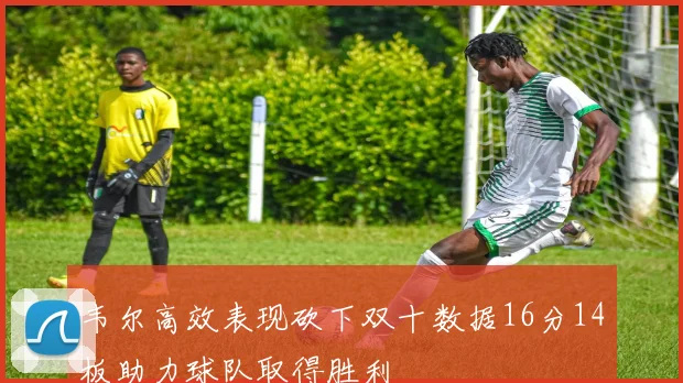 韦尔高效表现砍下双十数据16分14板助力球队取得胜利